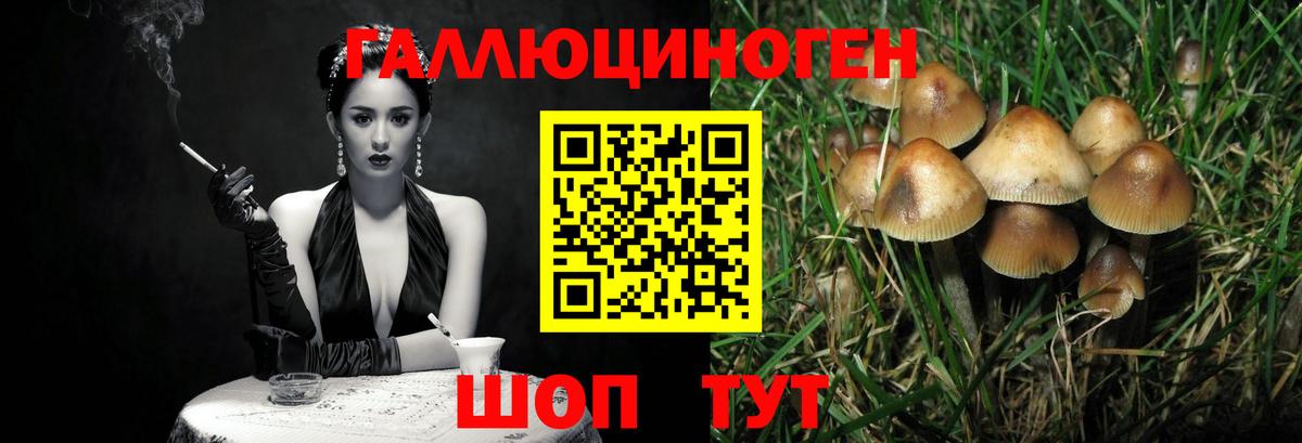 Сарапул  Псилоцибиновые грибы MAGIC MUSHROOMS  Вход с VPN  цена   Псилоцибиновые грибы Magic Shrooms 